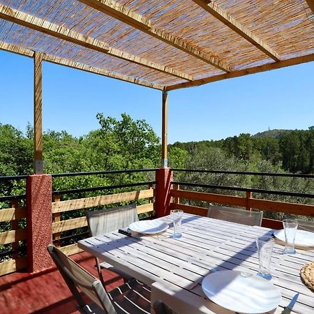 Le Mas Des Rouquets - Avec Piscine Et Jardin Anduze Exterior photo